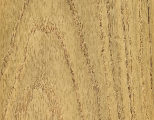 American White Oak